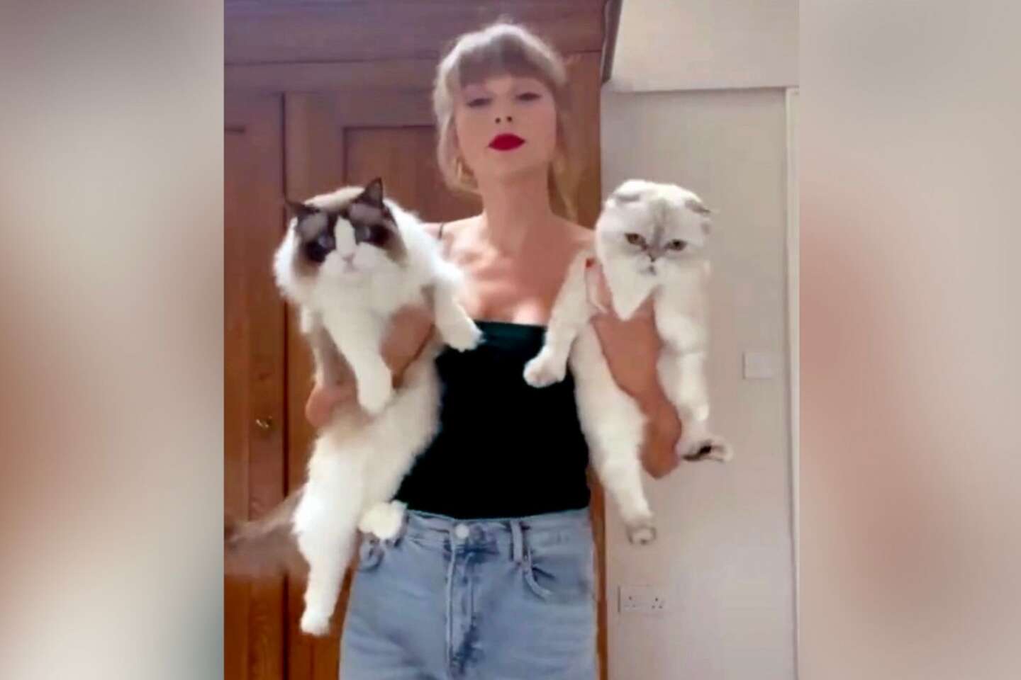 Taylor Swift et Kamala Harris, des « femmes à chat sans enfant » : « Aux yeux des hommes de pouvoir, une femme sans enfant apparaît comme une femme suspecte »