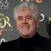 "The Room Next Door": Almodóvar révèle à Venise son premier long métrage en anglais