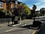 The covid-era council bollard that is KILLING a once-thriving town: 'No one is listening to us!'