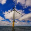 UK gets nine new offshore wind farms to power 11m homes after renewables auction