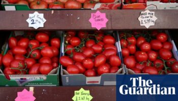 UK’s post-Brexit checks on fruit and vegetables delayed for a third time