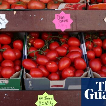 UK’s post-Brexit checks on fruit and vegetables delayed for a third time