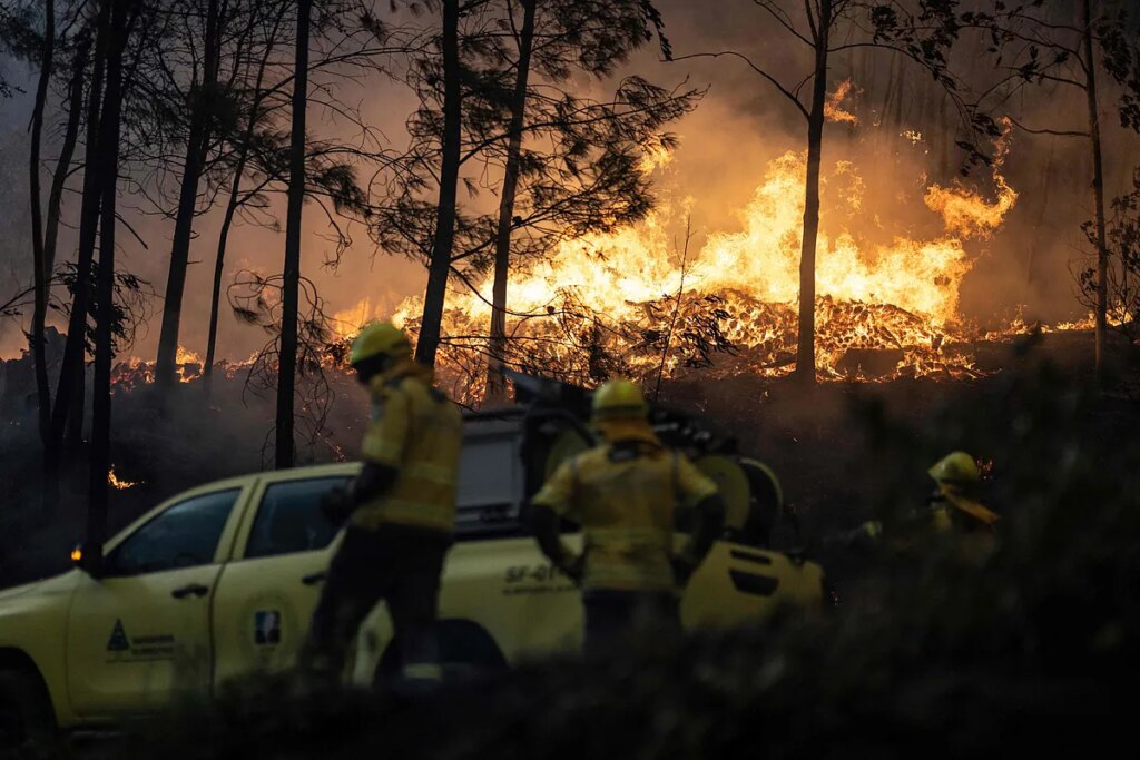 Un autobús lleno de españoles conduce durante horas por carreteras comarcales para escapar de los incendios que asolan Portugal y llegar a Galicia