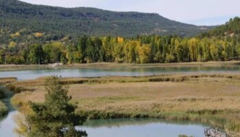 Un proyecto de restauración ambiental permitirá la ampliación del Parque  de las Lagunas de Ruidera