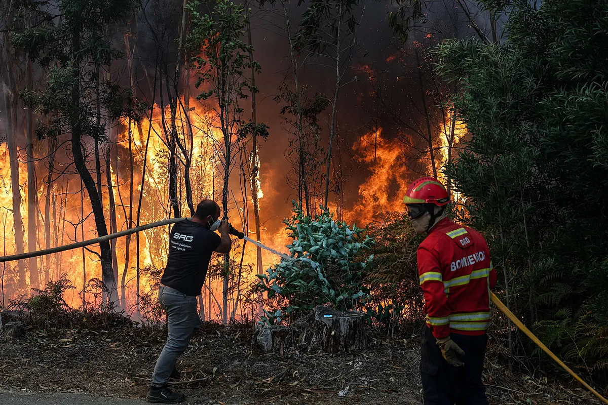 Una persona carbonizada y dos muertos por un ataque cardíaco: suben a tres los fallecidos en los terribles incendios forestales del centro y norte de Portugal