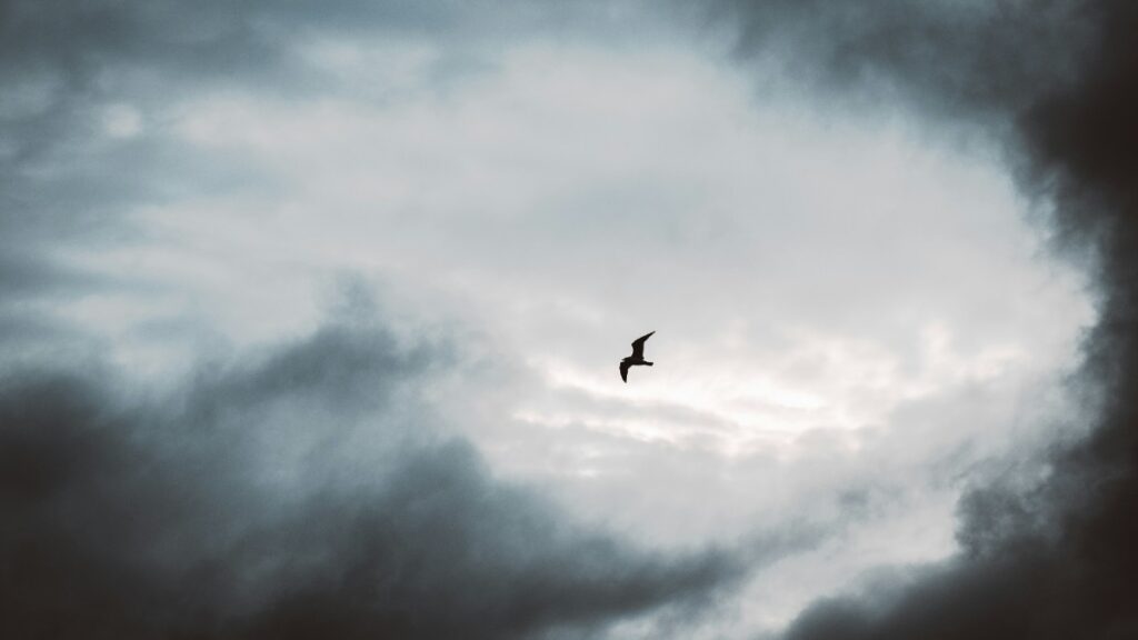 Une étrange masse bleue dans l'œil de l'ouragan Hélène pourrait correspondre à des oiseaux piégés