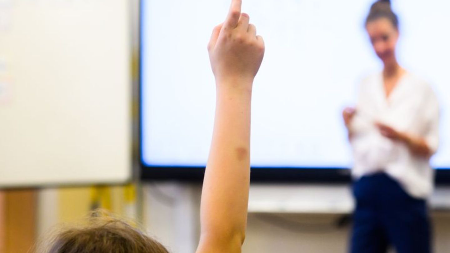 352 pensionierte Lehrkräfte an Schulen in Niedersachsen gibt es im aktiven Dienst. (Symbolbild) Foto: Julian Stratenschulte/dpa