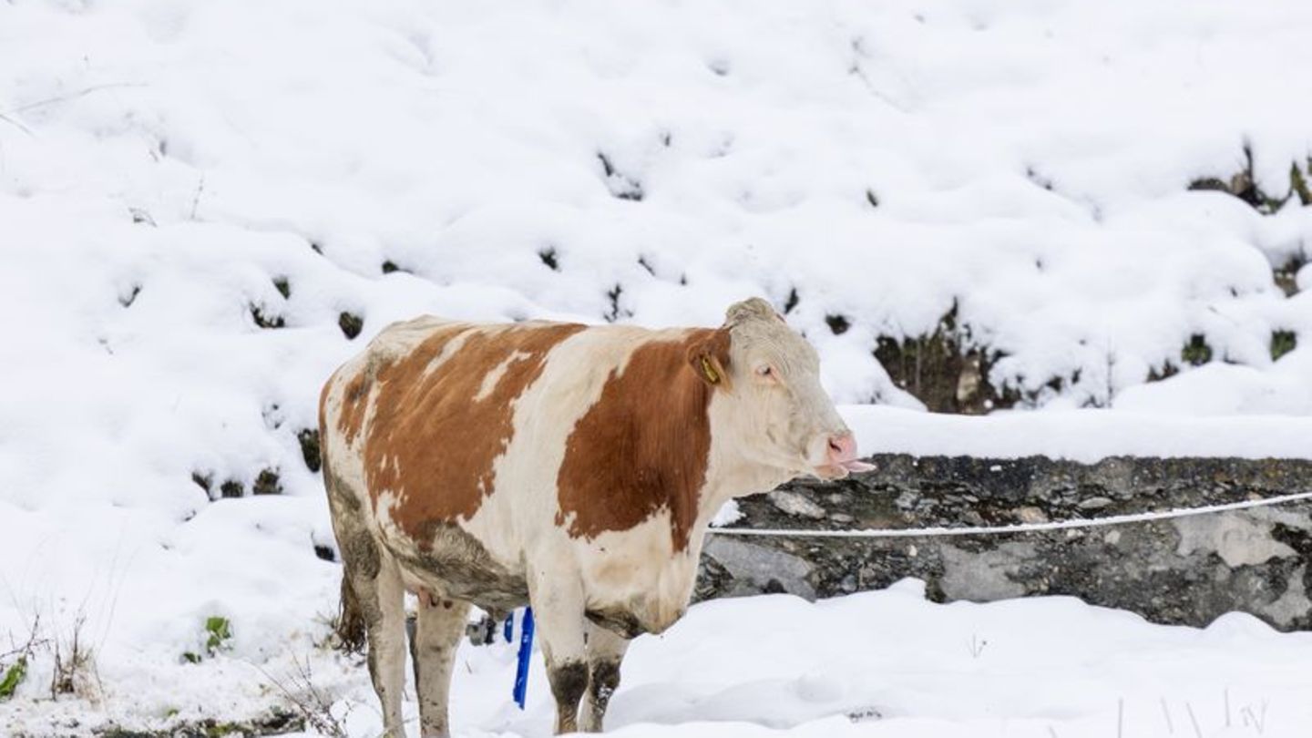 Niederschlag als Schnee heißt auch vorübergehend weniger Abflusswasser in den Flüssen". Foto: Expa/Johann Groder/APA/dpa