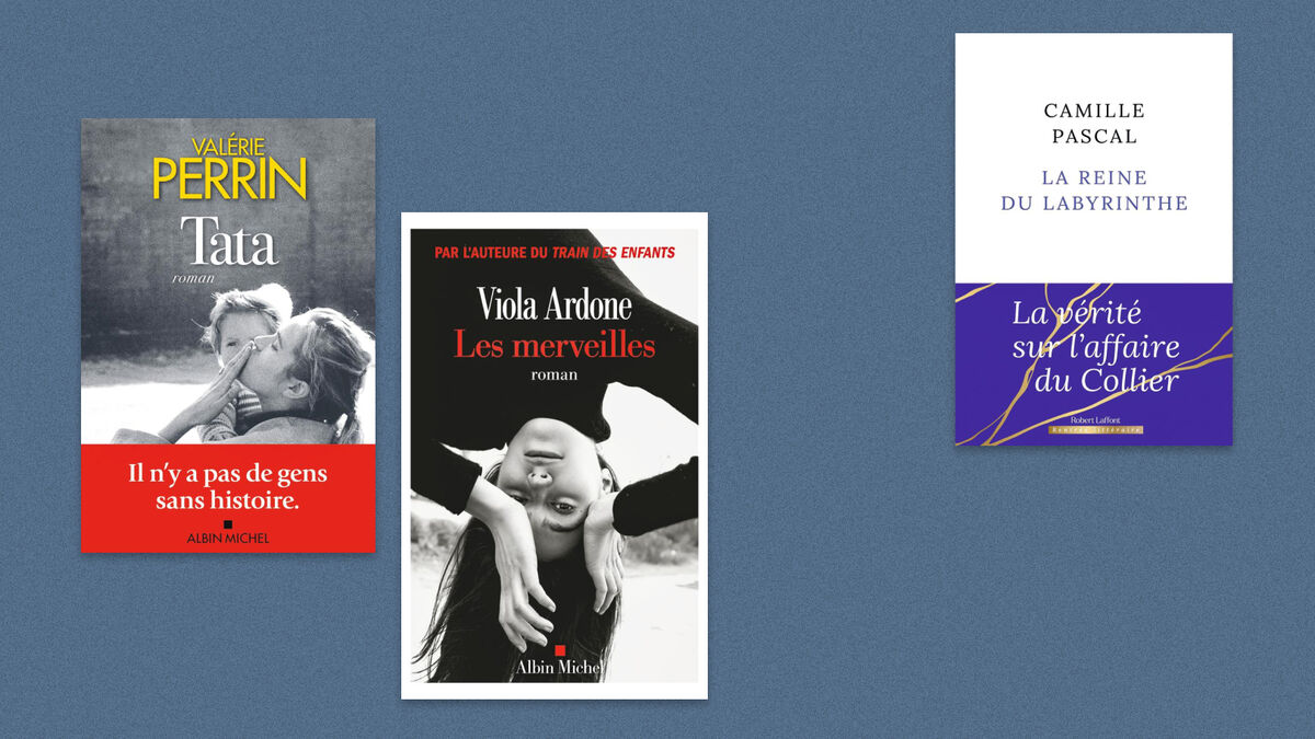 Valérie Perrin, Viola Ardone, Camille Pascal… Notre sélection livres de la semaine