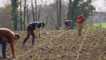 « Vins bretons, la nouvelle conquête de l’Ouest », sur France 3 : une visite guidée d’exploitations viticoles pionnières