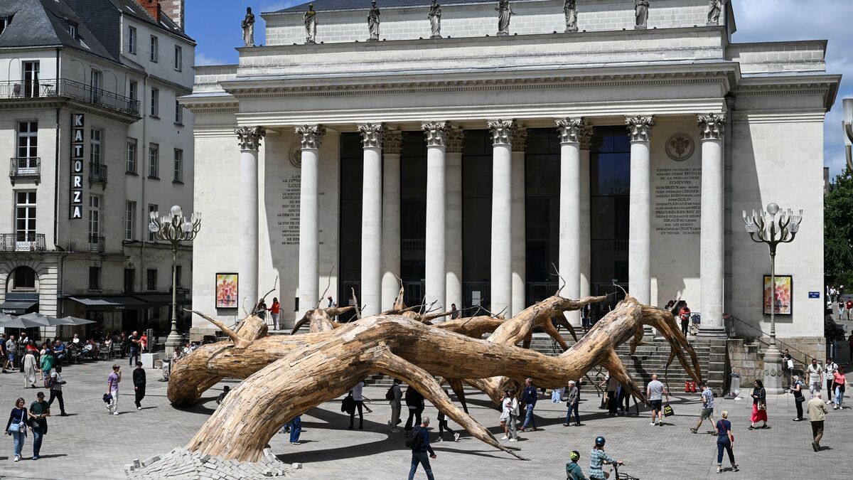 « Voyage à Nantes » : l’art redonne leur place aux arbres remarquables