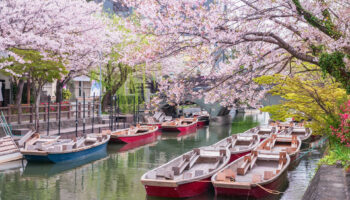 Voyages: Contre le surtourisme, cette compagnie propose des vols gratuits au Japon