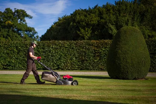 'We spent £14k on garden renovation - with a surprising result'