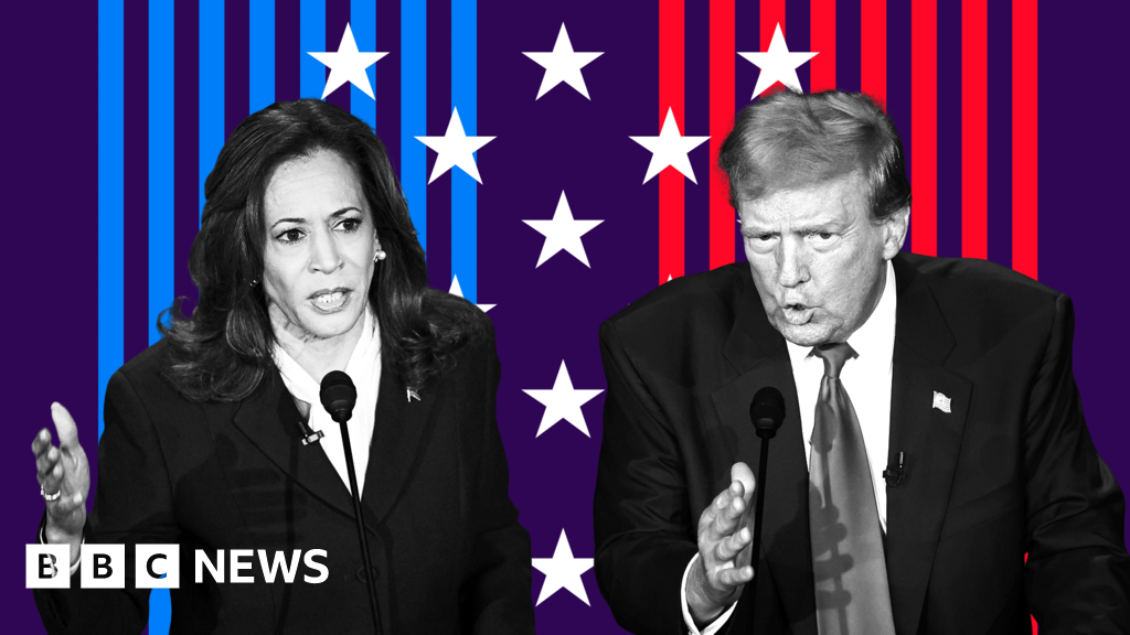 What insults tell us about how Trump and Harris are fighting election