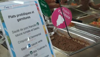 Yvelines : dans l’assiette des collégiens, les produits locaux font de plus en plus recette