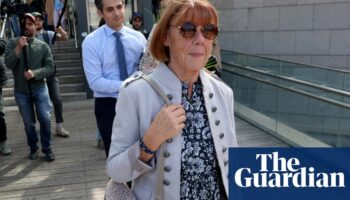 ‘I am part of this nightmare’: man admits guilt in Gisèle Pélicot rape trial