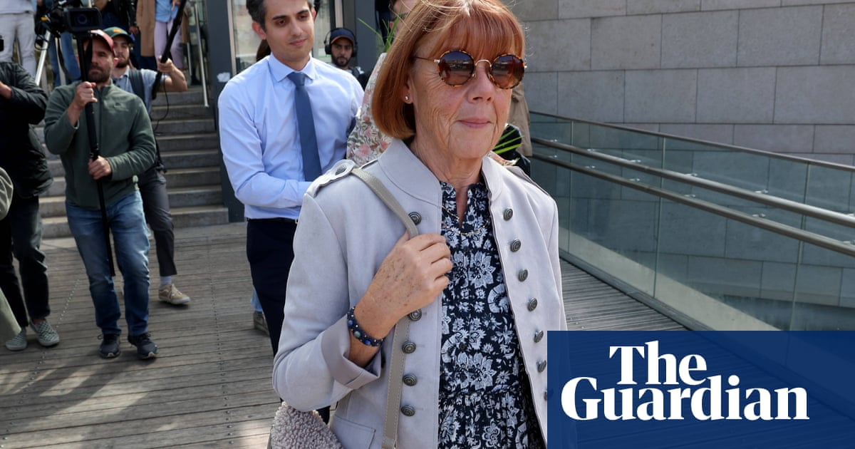 ‘I am part of this nightmare’: man admits guilt in Gisèle Pélicot rape trial