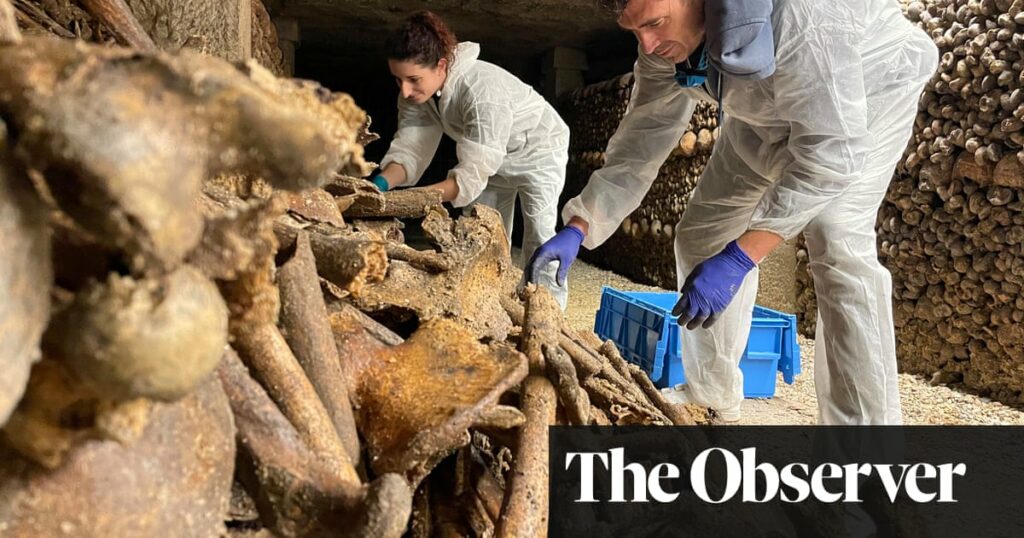 ‘Bodies were dropped down quarry shafts’: secrets of millions buried in Paris catacombs come to light