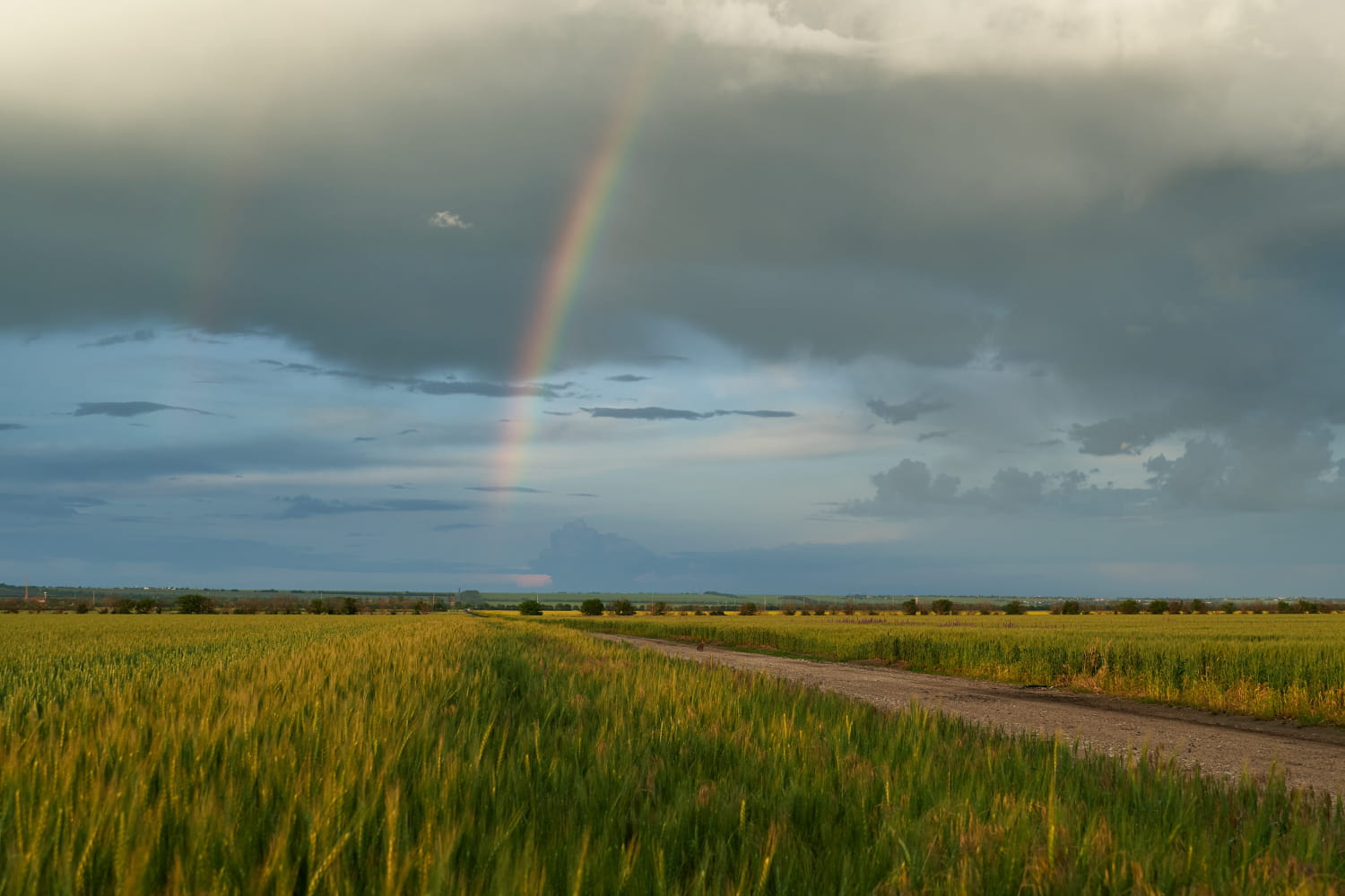 Météo : une courte accalmie avant le retour de la pluie, voici les quelques jours où il faudra profiter du beau temps