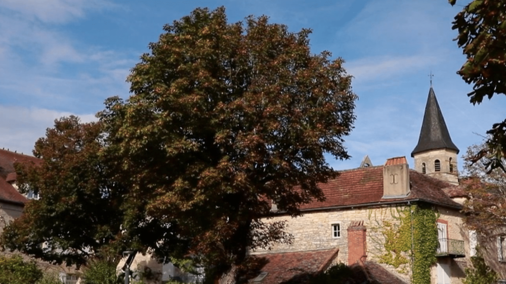 Plus beaux villages de France : à la découverte de la cité médiévale de Villeneuve-d'Aveyron