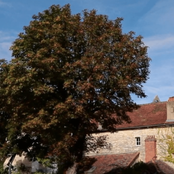 Plus beaux villages de France : à la découverte de la cité médiévale de Villeneuve-d'Aveyron