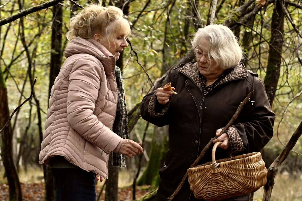 « Quand vient l’automne » de François Ozon : un film résilient sur le temps qui s’écoule, porté par deux immenses actrices