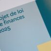 Moins de fonctionnaires et plus d'impôts : tout savoir sur le projet du budget 2025 de la France