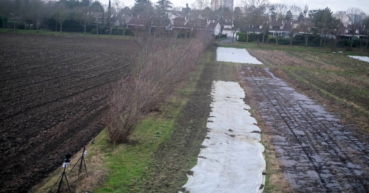 Biodiversité : «La nature est en plein burn-out»