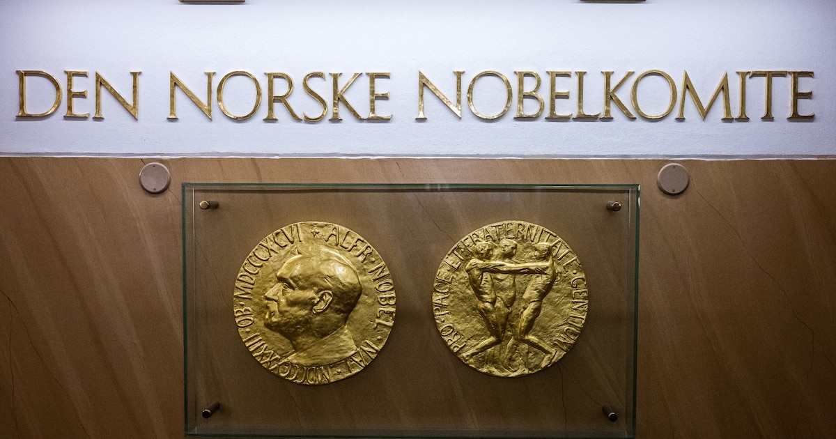 Des répliques de l'avers et du revers de la médaille du prix Nobel de la paix exposées à l'Institut Nobel norvégien, le 25 septembre 2024, à Oslo