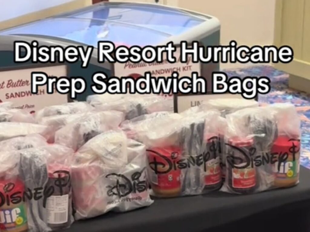 Disney resort faces backlash after charging guests stranded by Hurricane Milton for ‘sandwich kits’