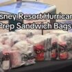 Disney resort faces backlash after charging guests stranded by Hurricane Milton for ‘sandwich kits’