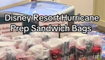 Disney resort faces backlash after charging guests stranded by Hurricane Milton for ‘sandwich kits’