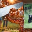 Undercooked bear meat at North Carolina barbecue leaves 10 sickened, says CDC report