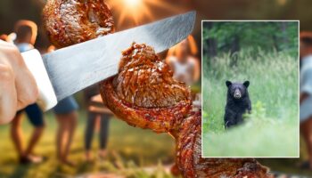 Undercooked bear meat at North Carolina barbecue leaves 10 sickened, says CDC report