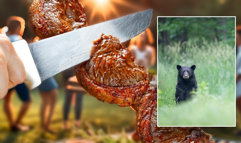 Undercooked bear meat at North Carolina barbecue leaves 10 sickened, says CDC report