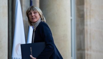 La ministre du Logement se dit favorable à une adaptation du DPE pour les copropriétés