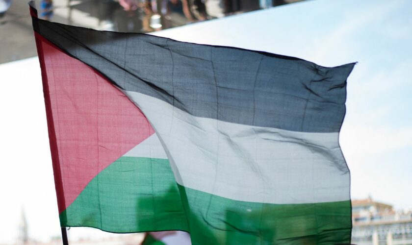 La justice suspend un arrêté municipal interdisant le drapeau palestinien à Mandelieu-la-Napoule dans les Alpes-Maritimes