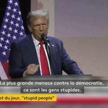 Présidentielle américaine 2024 : qui sont les "stupid people", qui pourraient avoir un impact sur le scrutin ?