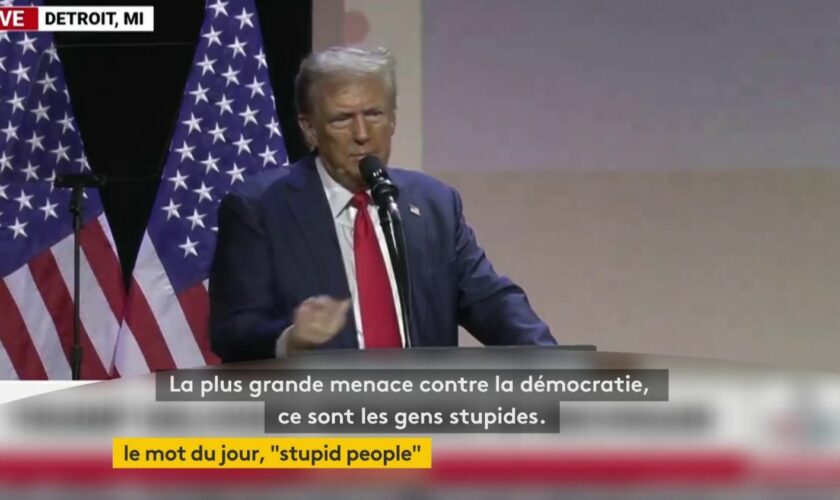 Présidentielle américaine 2024 : qui sont les "stupid people", qui pourraient avoir un impact sur le scrutin ?