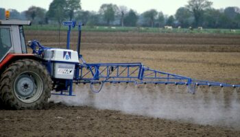 Près de La Rochelle, des pesticides interdits retrouvés dans l’organisme de 70 enfants