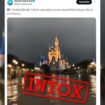 Non, Disney World n'a pas été inondé, c'est une photo créée par IA