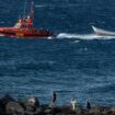 Mallorca: Tote und Verletzte nach Bootsunglück im Mittelmeer