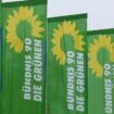 Grüne Jugend: Zwei Bewerbungen für Vorstand der Grünen Jugend eingegangen