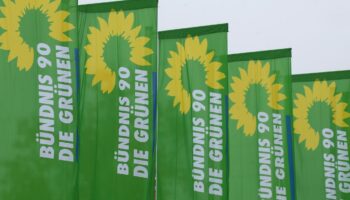 Grüne Jugend: Zwei Bewerbungen für Vorstand der Grünen Jugend eingegangen