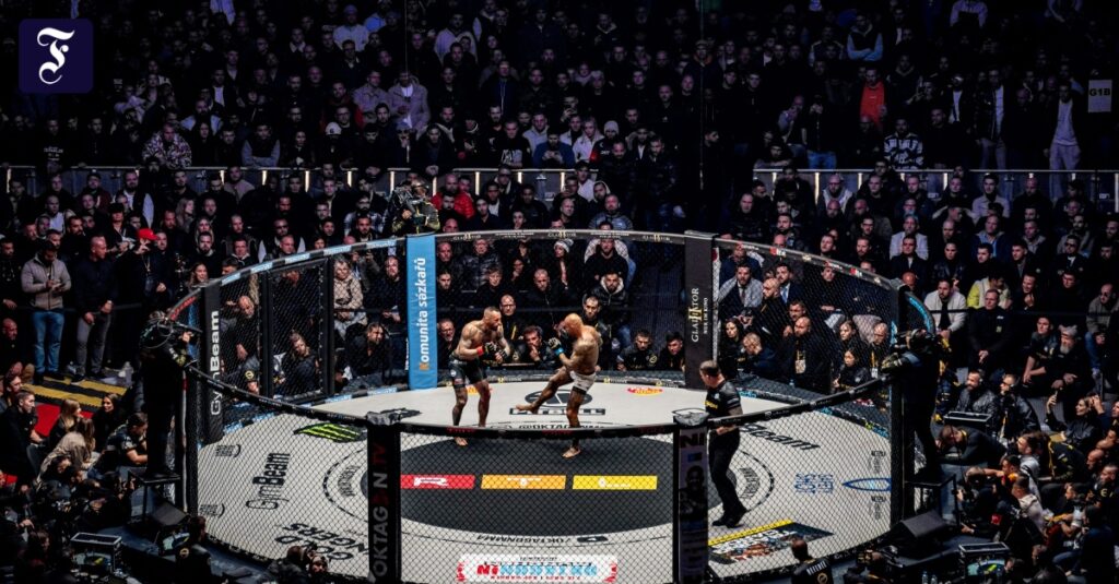 MMA in Frankfurt: „Auf die Fresse“ im Waldstadion