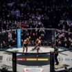 MMA in Frankfurt: „Auf die Fresse“ im Waldstadion