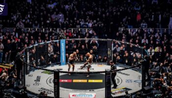 MMA in Frankfurt: „Auf die Fresse“ im Waldstadion