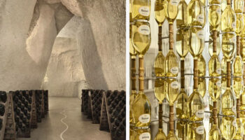 Champagne : le roman de Ruinart