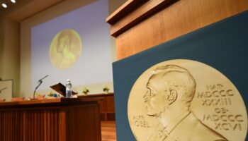 Une médaille du prix Nobel, le 2 octobre 2017 avant l'annonce du gagnant du prix de médecine à Stockholm