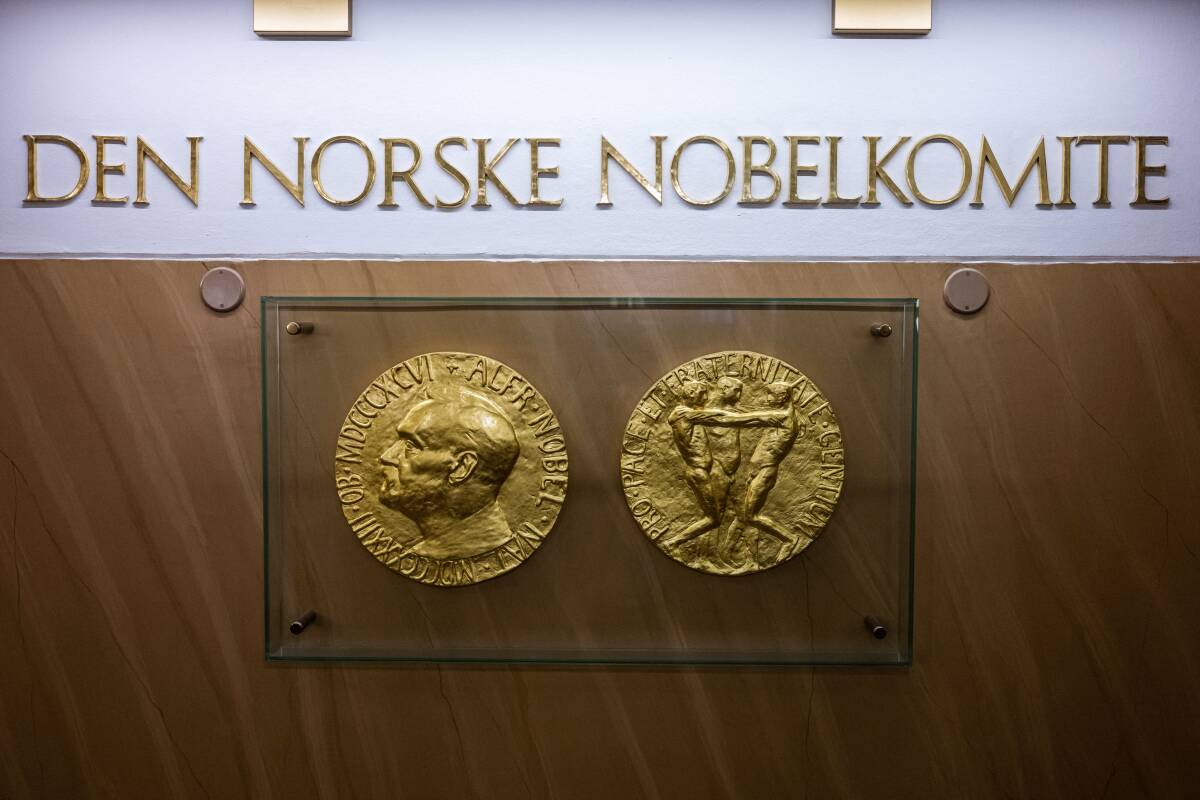 Le prix Nobel d’économie décerné à l’Américano-turc Daron Acemoglu et aux Britanno-américains Simon Johnson et James A. Robinson